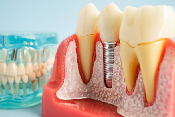 Best Preventive Dentistry  in Gladwin, MI